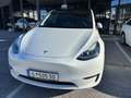 Tesla Model Y Long Range Dual AWD Weiß - thumbnail 1