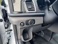 Ford Transit Trend L4H3 *Sync 4* ACC*360° Kamera* Weiß - thumbnail 11