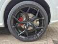Audi Q5 2.0 TFSI quattro Sport S Line Black Edition Panora Blanco - thumbnail 11