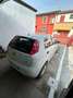 Fiat Punto 5p 1.4 natural power Street (easy) 70cv Bianco - thumbnail 3
