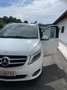 Mercedes-Benz V 250 V 250 d 4MATIC lang Avantgarde Aut. Avantgarde Weiß - thumbnail 3