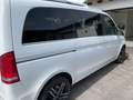 Mercedes-Benz V 250 V 250 d 4MATIC lang Avantgarde Aut. Avantgarde Weiß - thumbnail 5