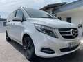 Mercedes-Benz V 250 V 250 d 4MATIC lang Avantgarde Aut. Avantgarde Weiß - thumbnail 1
