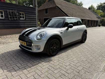 MINI Cooper Mini 1.5 Chili. Panoramadak,Navi,LED,half leer. Ze