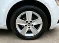 Skoda Octavia Combi Ambition 1,5 Mirror-Link/Navi/PDC Weiß - thumbnail 19