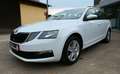 Skoda Octavia Combi Ambition 1,5 Mirror-Link/Navi/PDC Weiß - thumbnail 4