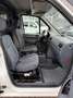 Ford Transit Connect Kasten Weiß - thumbnail 10