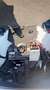 Audi A5 Sportback 35 TDI S tronic line Blanc - thumbnail 9