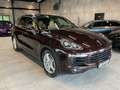 Porsche Cayenne AHK Leder Navi Pano Luftf. BOSE Maro - thumbnail 3