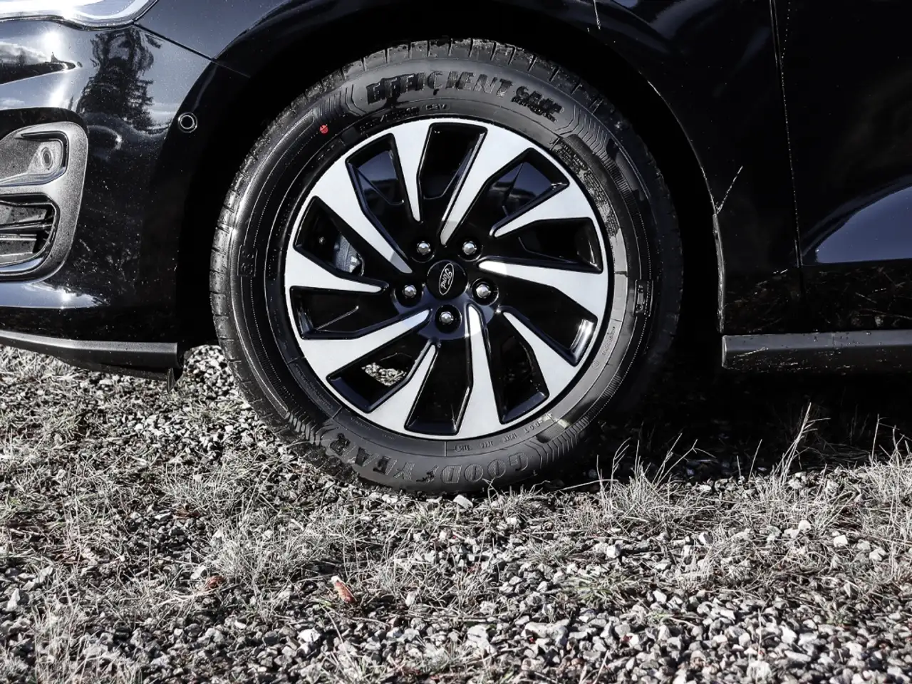 Ford Focus Titanium Edition 155PS Panorama FAP Parking 3