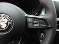 Alfa Romeo Tonale 1.6 MJT 130 CV TCT6 SPRINT Grau - thumbnail 18