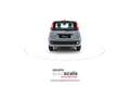Fiat New Panda 1.0 FireFly S&S Hybrid Easy Grigio - thumbnail 5