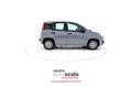Fiat New Panda 1.0 FireFly S&S Hybrid Easy Grigio - thumbnail 7