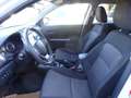 Suzuki Vitara 1,4 GL+ DITC Hybrid ALLGRIP shine,LED Scheinwer... Weiß - thumbnail 12