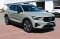 Volvo XC40 B4 DKG Plus Dark*FSHZG*360°*ACC*Allwetter Grün - thumbnail 7