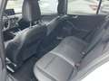 Ford Focus 1.5 Turnier EcoBoost ST-Line, Navi, Weiß - thumbnail 8