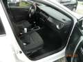 Toyota Auris Life+ Weiß - thumbnail 15