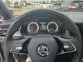Skoda Kamiq Monte Carlo AHK PANO ACC KAM SHZ Grau - thumbnail 15