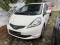 Honda Jazz 1.2 Trend ~Klima~eFenster~ Weiß - thumbnail 1