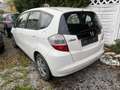 Honda Jazz 1.2 Trend ~Klima~eFenster~ Weiß - thumbnail 3