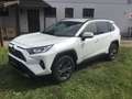 Toyota RAV 4 2,5 Hybrid  Active Drive AWD-i Weiß - thumbnail 1