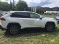 Toyota RAV 4 2,5 Hybrid  Active Drive AWD-i Weiß - thumbnail 5