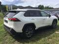 Toyota RAV 4 2,5 Hybrid  Active Drive AWD-i Weiß - thumbnail 4