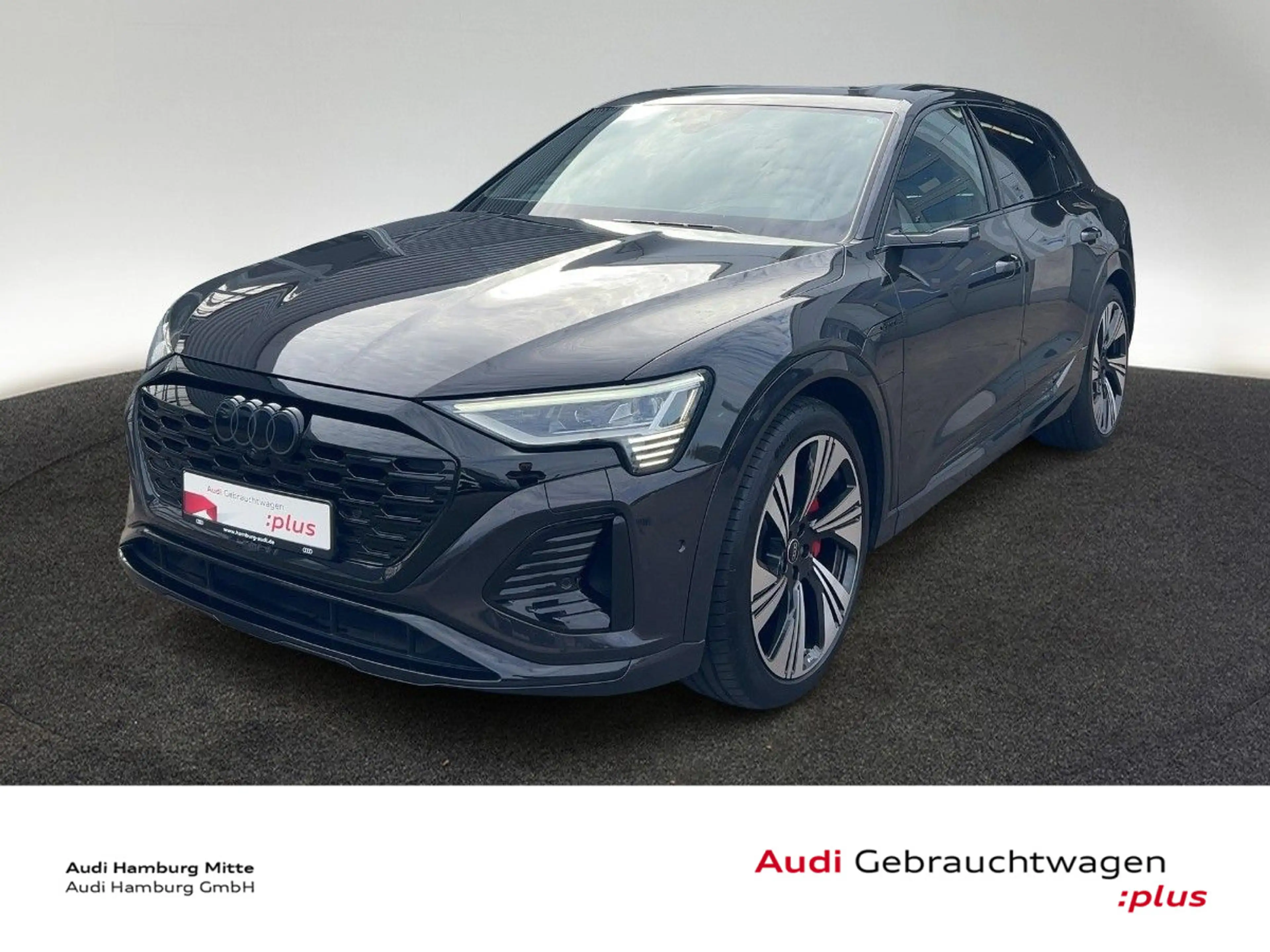 Audi Q8 e-tron 55 quattro S line B&O Navi LM22 Matrix