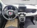 Fiat Panda Pandina Cross look MHEV 70 Vert - thumbnail 9