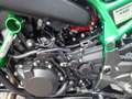 Kawasaki Exeet H2 Blackbull Hyper Quad 200PS Kompressor Zelená - thumbnail 22