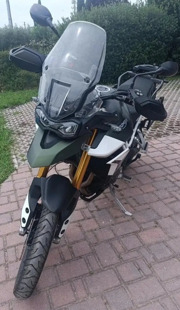 Triumph Tiger 900 Verde - 1