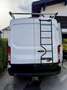 Ford Transit Bus Minibus 2,2 TDCi L2H2 350 Ambiente - thumbnail 2