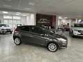 Ford Fiesta Titanium Navi/Kamera Gris - thumbnail 3