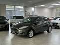 Ford Fiesta Titanium Navi/Kamera Gris - thumbnail 23
