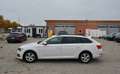 Skoda Superb Kombi 2,0 TDI Ambition DSG Weiß - thumbnail 6
