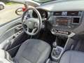 Kia Rio Attract Rot - thumbnail 6