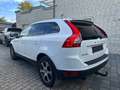 Volvo XC60 XC60 Summum AWD Weiß - thumbnail 11