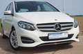 Mercedes-Benz B 180 +Automatik+Navi+LED+AHK+ White - thumbnail 9