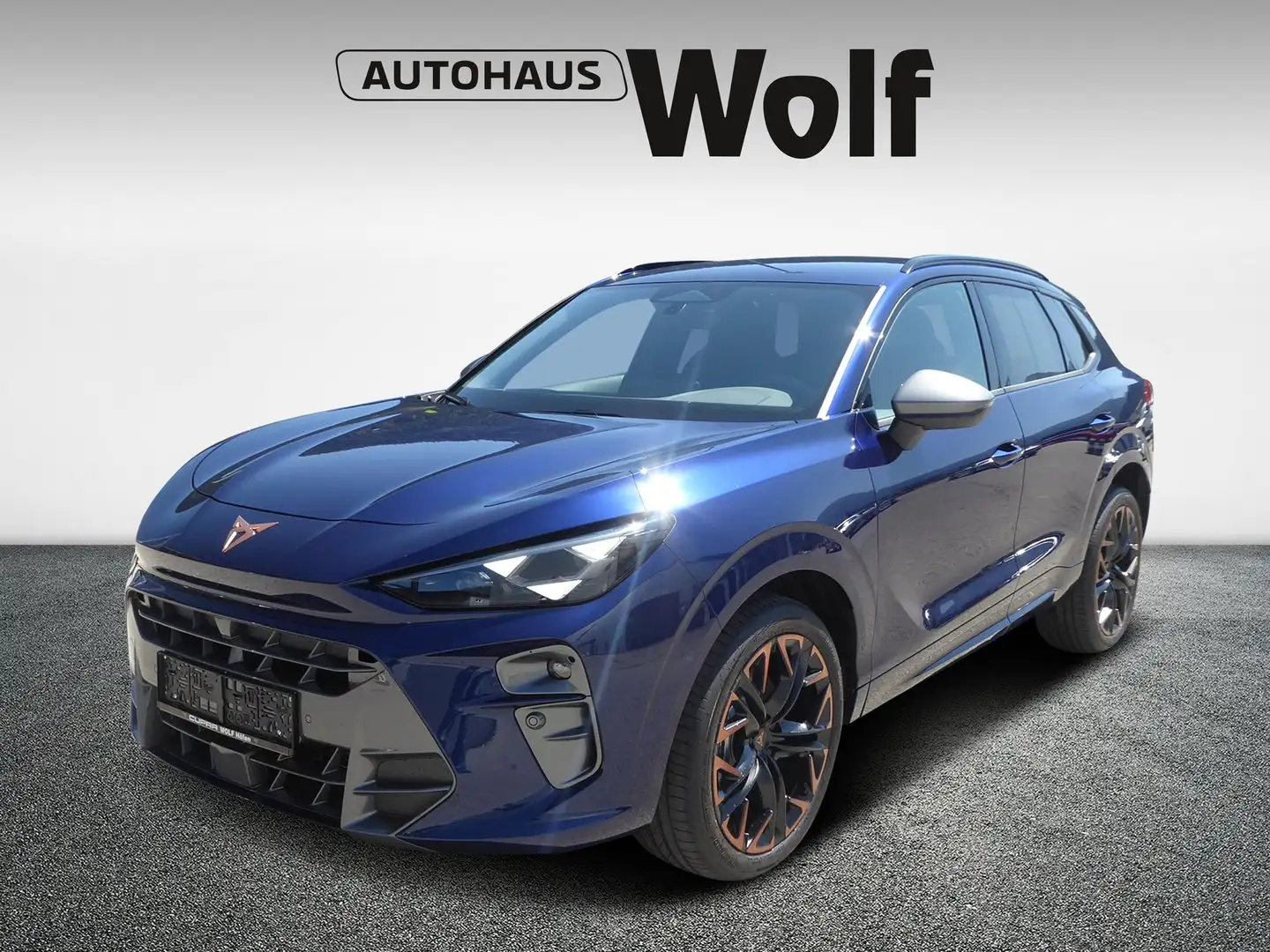 CUPRA Terramar 2.0 TSI 204 PS DSG 4Drive Blau - 1