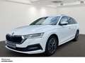 Skoda Octavia Combi Ambition 1.5 TSI NAVI AHK SHZ Weiß - thumbnail 1