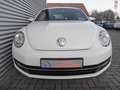 Volkswagen Beetle 1.2 TSI Design Gerne Finanzierung +++ Blanc - thumbnail 2