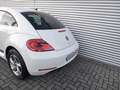 Volkswagen Beetle 1.2 TSI Design Gerne Finanzierung +++ Weiß - thumbnail 6