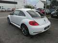 Volkswagen Beetle Lim. Club BMT DSG Weiß - thumbnail 7