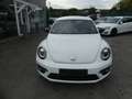 Volkswagen Beetle Lim. Club BMT DSG Weiß - thumbnail 3