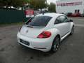 Volkswagen Beetle Lim. Club BMT DSG Weiß - thumbnail 5
