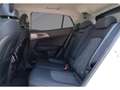 Kia Sportage 1.6 T-GDi 110kW (150CV) Drive 4x2 - thumbnail 12