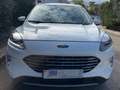 Ford Kuga Kuga III 2020 1.5 ecoblue Titanium  2wd 120cv auto Bianco - thumbnail 2