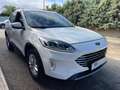 Ford Kuga Kuga III 2020 1.5 ecoblue Titanium  2wd 120cv auto Bianco - thumbnail 1