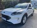Ford Kuga Kuga III 2020 1.5 ecoblue Titanium  2wd 120cv auto Bianco - thumbnail 3