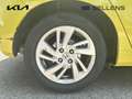 Honda Jazz 1.3 i-VTEC 102ch Exclusive Navi - thumbnail 16